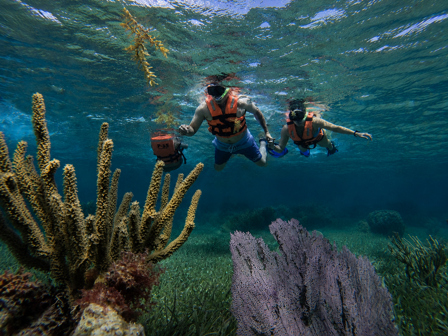 Puerto Morelos Snorkel Tour - Image 3