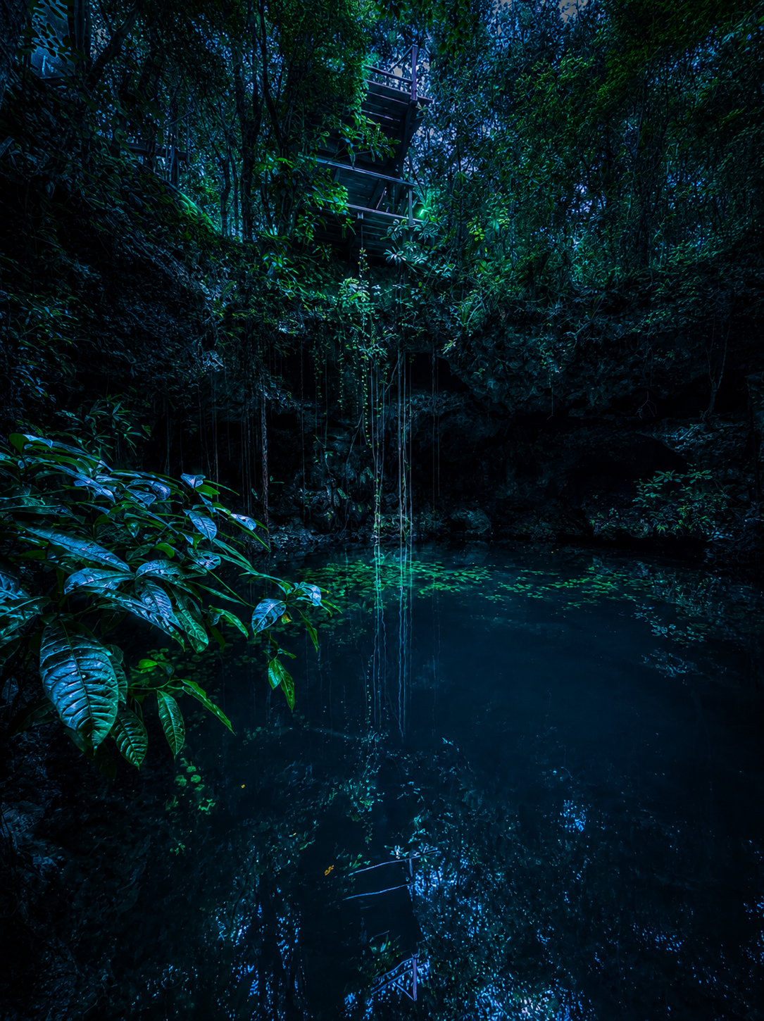 Selvatica Zipline & Canopy Tour - Image 4