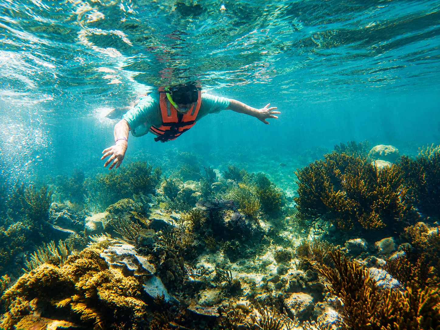 Total Snorkel Cancun (4 Reefs + MUSA) - Image 3