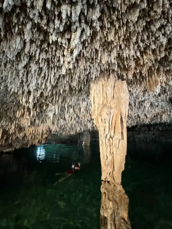 A thrilling ATV ride, zipline, and cenote tour through Cancun's jungle.