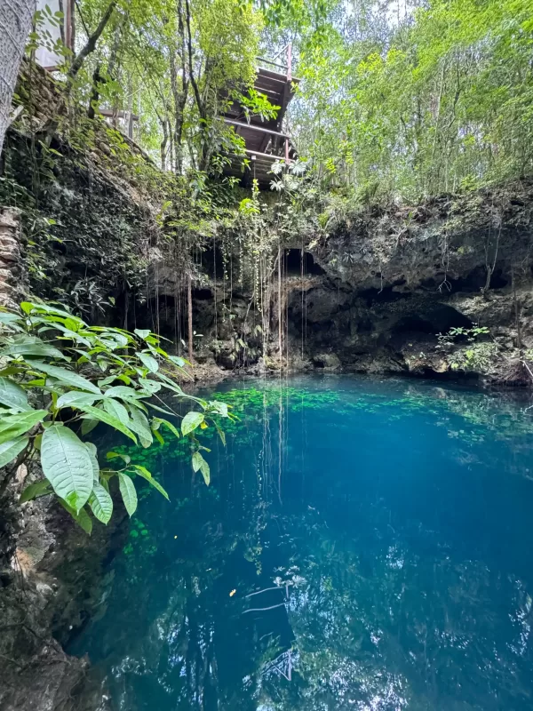 Tourist enjoying a thrilling ATV and zipline combo adventure in Cancun's jungle.