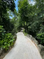 VIP Private Can-Am ATV Tour (Solo Vehicle) - Image 13