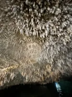 Exclusive Private 3 Cenotes Tour with Mayan Lunch - Image 6