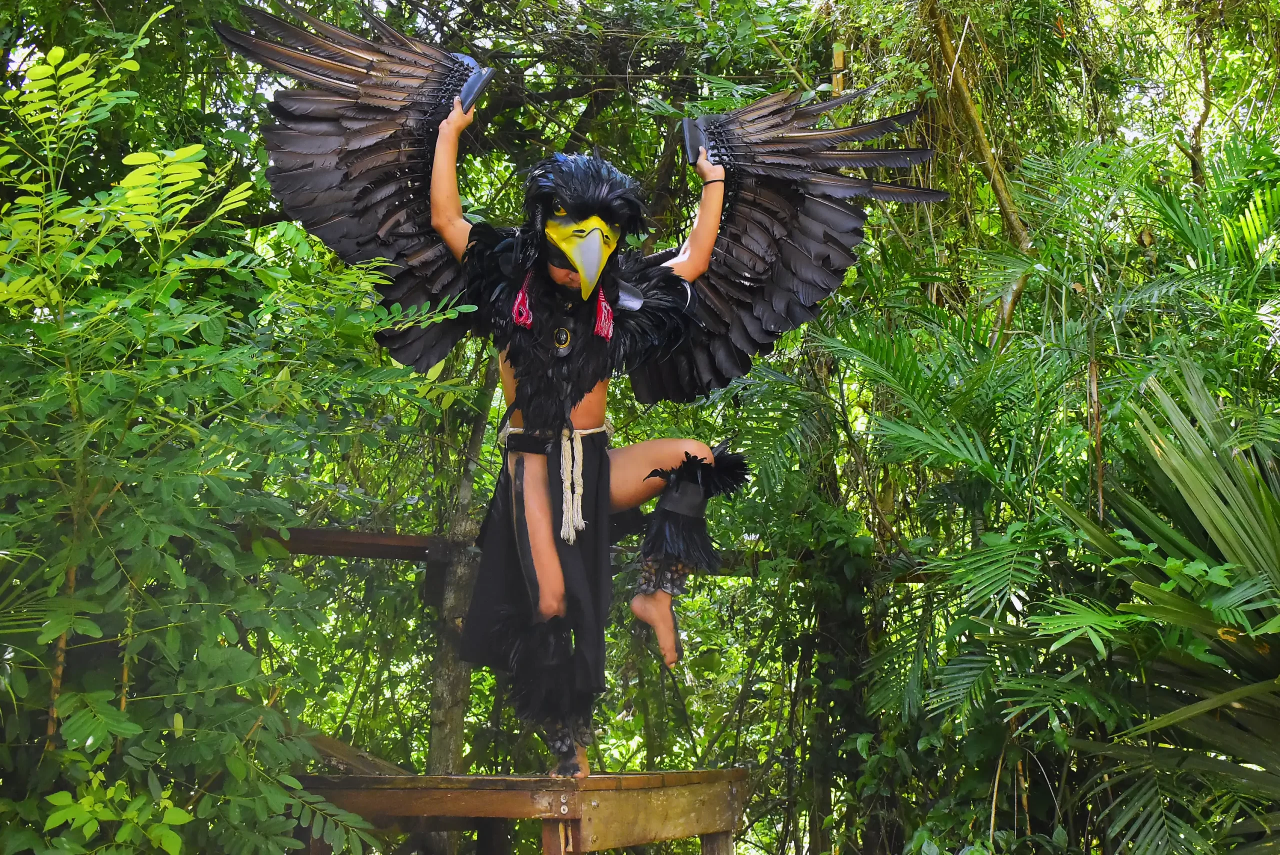 Person dressed as an eagle in a cultural performance in the jungle.