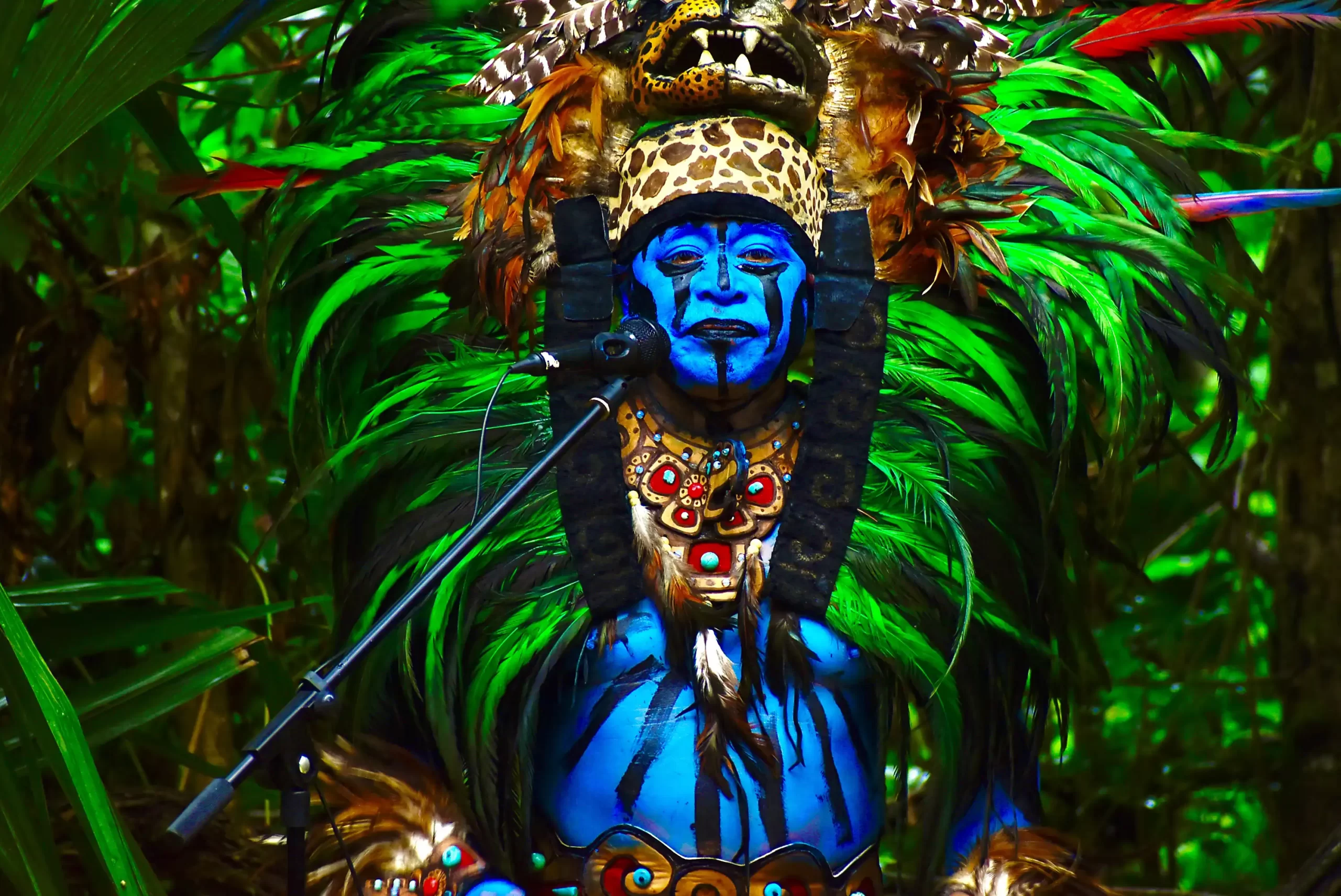 Performer with blue face paint and feather costume during a cultural show in the jungle.