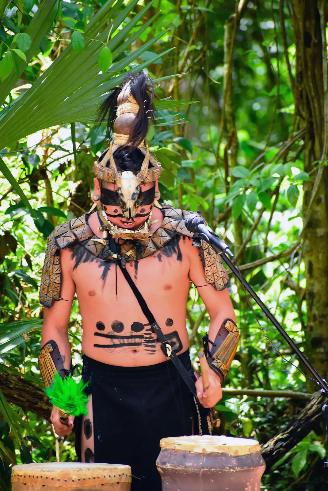 Performer in traditional costume with a jaguar headdress and vibrant feathers during a cultural show in the jungle