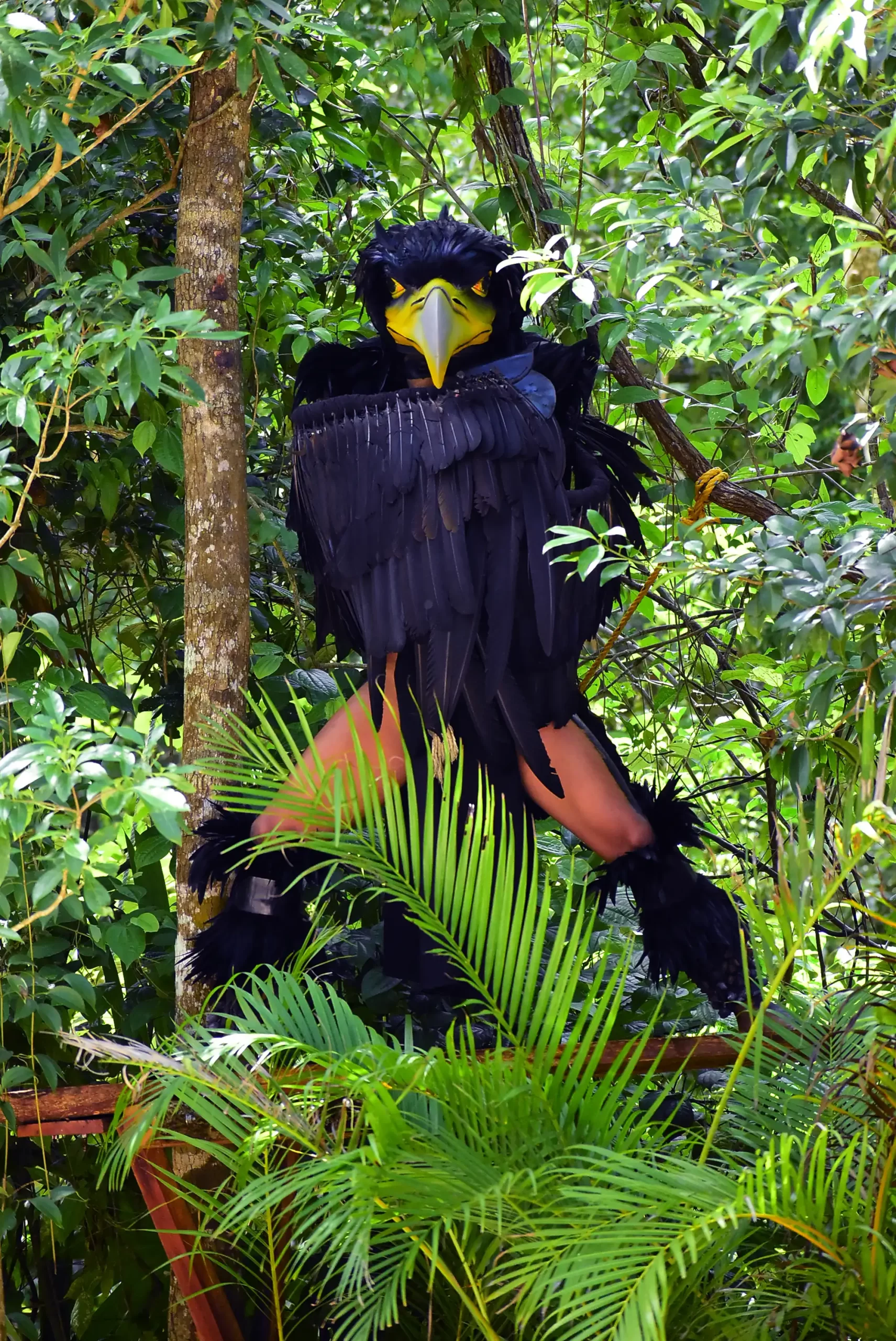 Person dressed in an elaborate black bird costume standing among the trees.