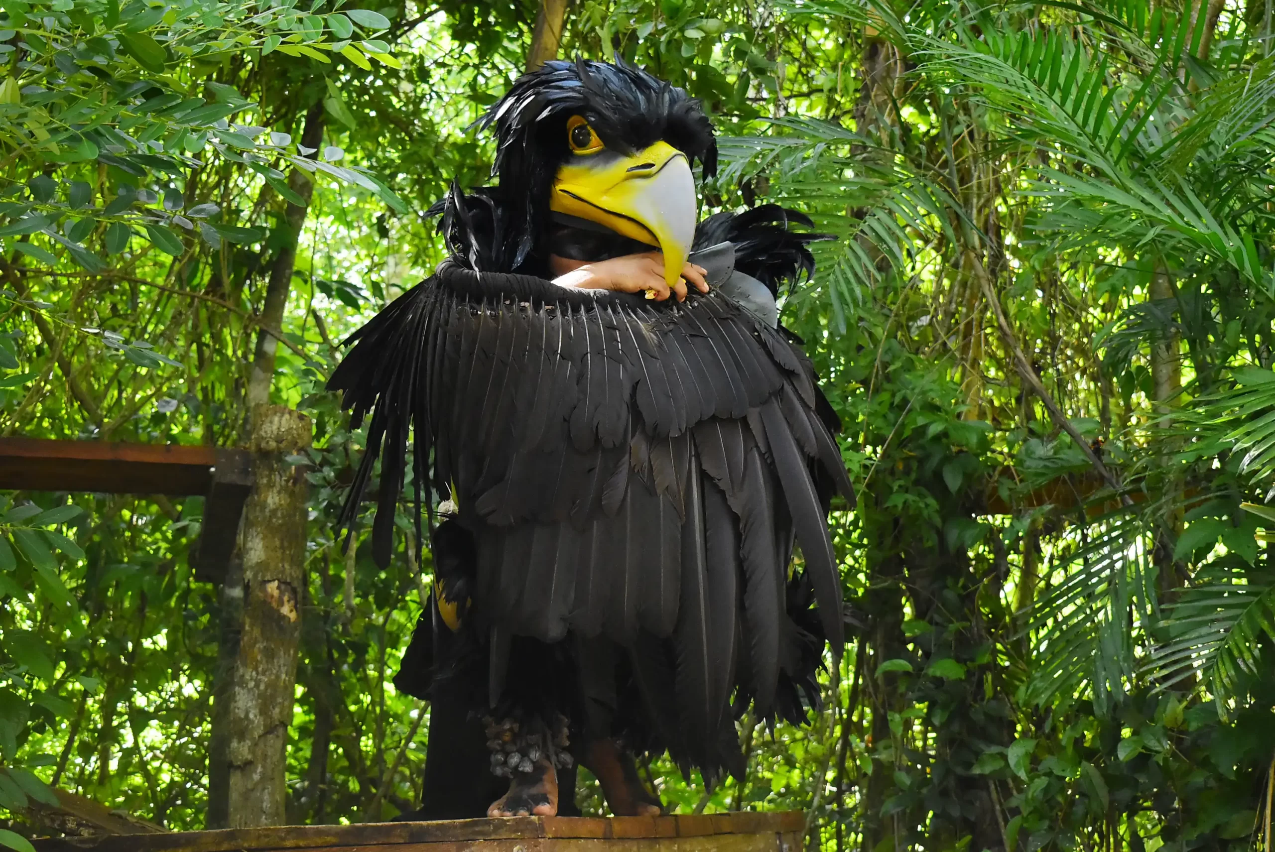Person dressed as a large black bird standing on a wooden platform in the jungle.
