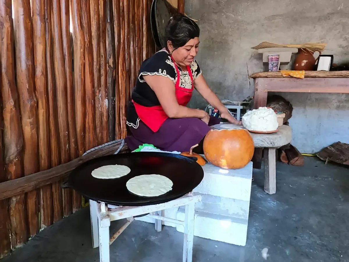 Tour por la ciudad de Puerto Morelos y tacos - Image 11