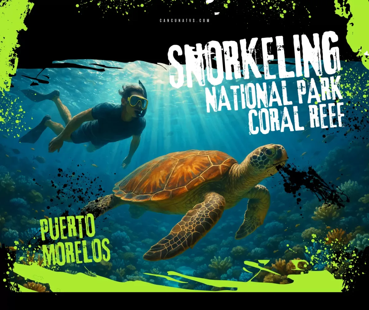 Snorkel en el arrecife de Puerto Morelos y descubrimiento de la ciudad - Image 1