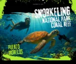 Snorkel en el arrecife de Puerto Morelos y descubrimiento de la ciudad