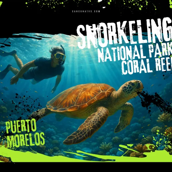 Snorkel en el arrecife de Puerto Morelos y descubrimiento de la ciudad