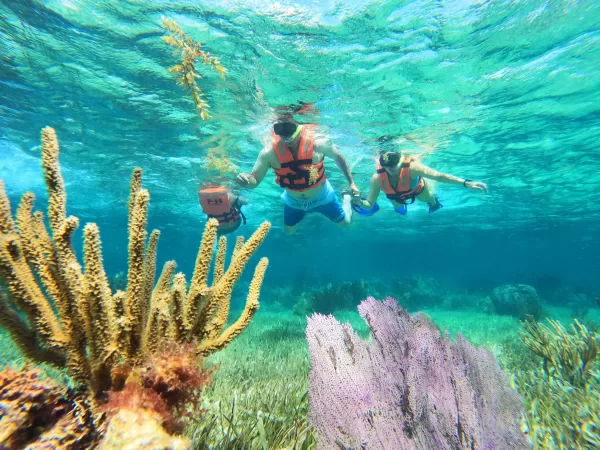 Super Combo: Cancun Snorkeling, ATVs, Ziplines & Cenote - Image 12
