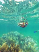 Super Combo: Cancun Snorkeling, ATVs, Ziplines & Cenote - Image 14