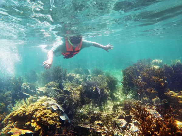 Super Combo: Cancun Snorkeling, ATVs, Ziplines & Cenote - Image 13