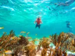 Snorkel en el arrecife de Puerto Morelos y descubrimiento de la ciudad - Image 5